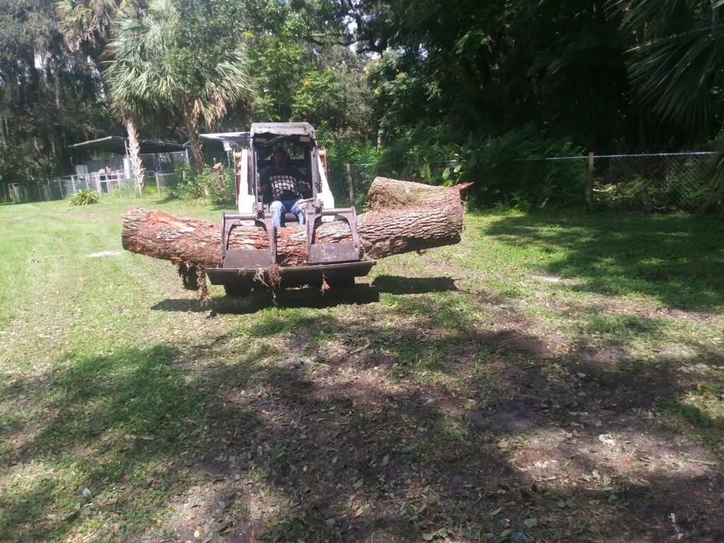 Image of Bobcat removing tree trunk