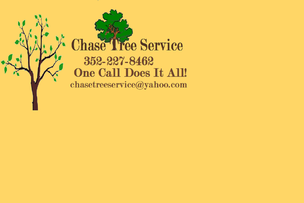 image of Chase Tree Service Buneiness Card.